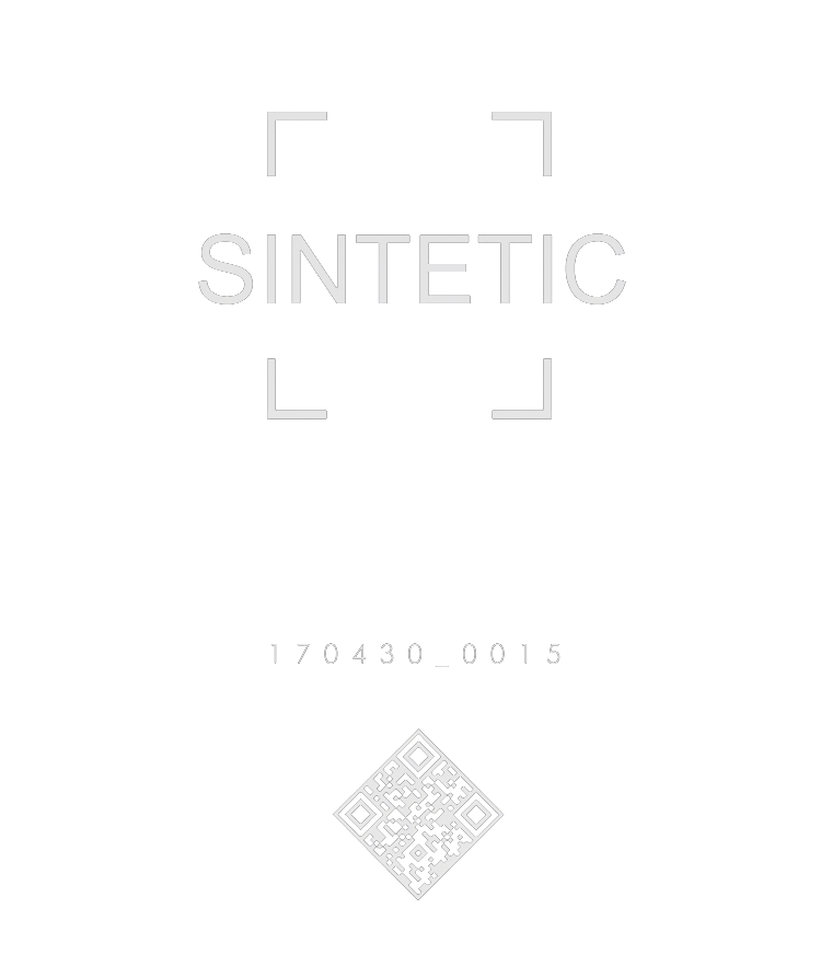 Sintetic logo — brand mark by Artur Parutkin